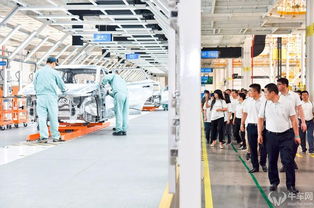 嘴上说不要的付强，行动很诚实的爱驰投资管理