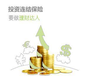 跨越增长迷思 优化投资范围与强化投资管理的协同路径